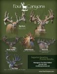 Four Canyons Ranch - Texas Whitetail Breeding